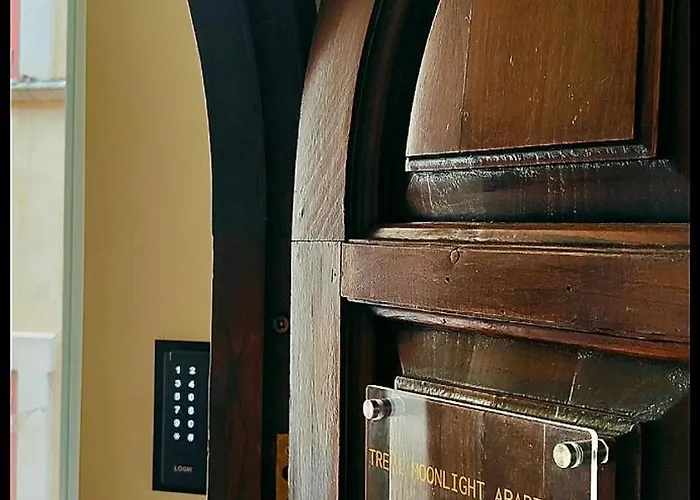 Trevi Moonlight * רומא