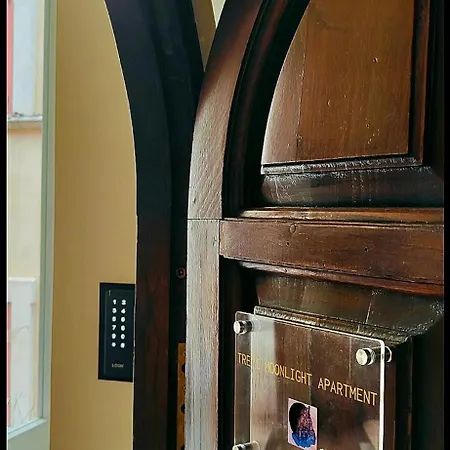 Trevi Moonlight * Ρώμη